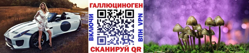 мориарти наркотические препараты  Навашино  Псилоцибиновые грибы GOLDEN TEACHER  ОМГ ОМГ ТОР 