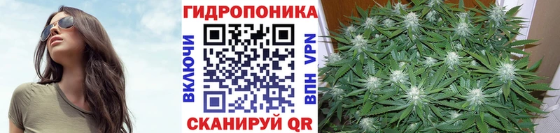 купить наркотик  Навашино  Конопля гибрид 